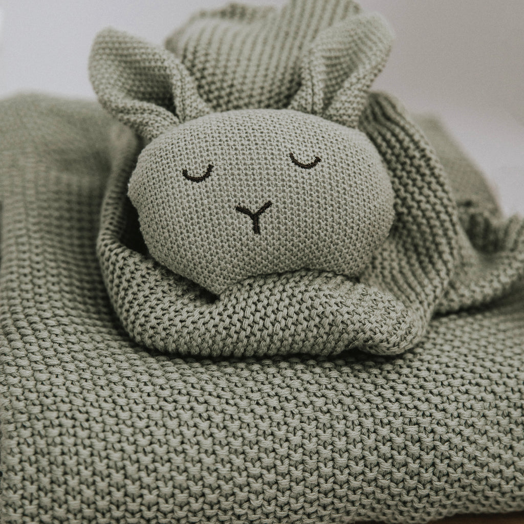 Blanket and Bunny Combo - Baby Shower - Newborn Gift Set.